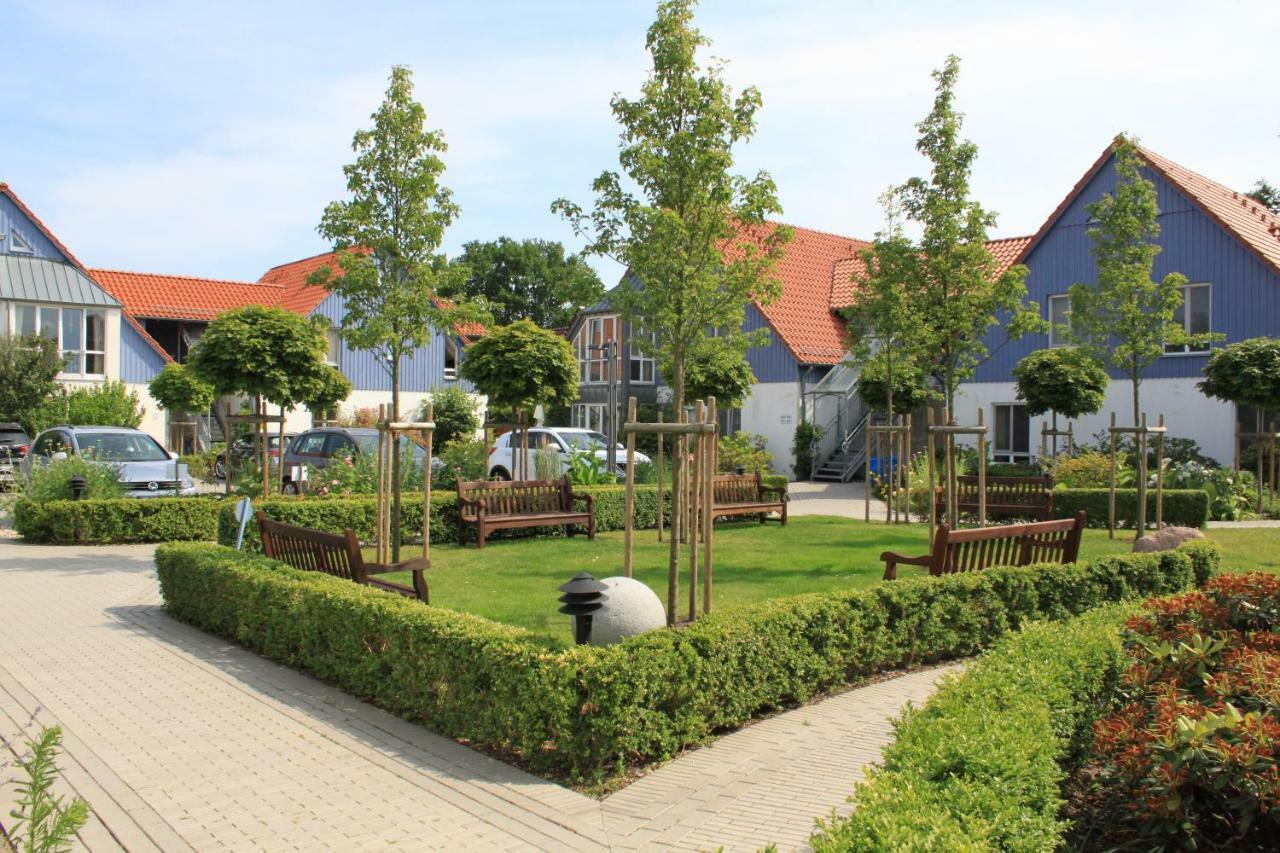 Kurmittelcentrum Zingst Luaran gambar